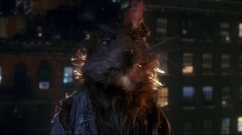 Movie still from “Teenage Mutant Ninja Turtles” (1990), directed by Steve Barron – The face of a rat; Close Up shot, Low angle