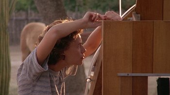Movie still from “Temple Grandin” (2010), directed by Mick Jackson – A young man looking at something in a box; Medium shot, Low angle