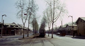 Movie still from “Teorema” (1968), directed by Pier Paolo Pasolini – A train on the tracks near a tree lined street; Extreme Wide shot, High angle