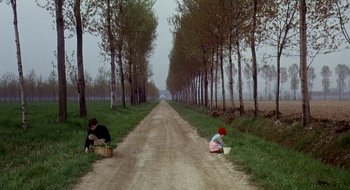 Movie still from “Teorema” (1968), directed by Pier Paolo Pasolini – Two people sitting on the side of a dirt road near trees; Wide shot, High angle