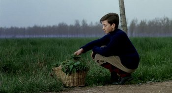 Movie still from “Teorema” (1968), directed by Pier Paolo Pasolini – A young boy kneeling down in the grass near a basket of vegetables; Medium shot, High angle