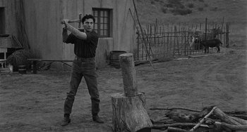 Movie still from “Terror in a Texas Town” (1958), directed by Joseph H. Lewis – A black and white photo of a man holding a baseball bat; Medium shot, Low angle
