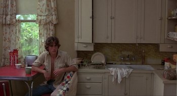 Movie still from “Tex” (1982), directed by Tim Hunter – A man sitting in a kitchen next to a sink; Medium shot, Over the shoulder angle