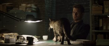 Movie still from “Department Q: The Absent One” (2014), directed by Mikkel Nørgaard – A man sitting at a table next to a cat; Medium shot, Low angle