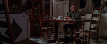 Movie still from “The Accidental Tourist” (1988), directed by Lawrence Kasdan – A woman sitting at a dining table with a dog; Wide shot, High angle