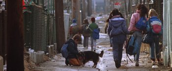 Movie still from “The Accidental Tourist” (1988), directed by Lawrence Kasdan – A person kneeling down next to a dog on the street; Wide shot, High angle