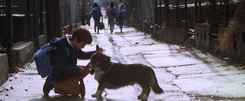 Movie still from “The Accidental Tourist” (1988), directed by Lawrence Kasdan – A boy and a dog on the sidewalk; Wide shot, High angle