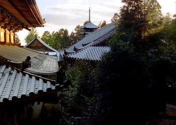 Movie still from “The Assassin” (2015), directed by Hsiao-Hsien Hou – A view of some buildings and trees in a forest; Extreme Wide shot, High angle