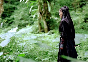 Movie still from “The Assassin” (2015), directed by Hsiao-Hsien Hou – A woman with long black hair is walking through the woods; Wide shot, Over the shoulder angle