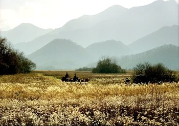Movie still from “The Assassin” (2015), directed by Hsiao-Hsien Hou – A group of people riding on the back of a four wheeler in a field; Extreme Wide shot, Low angle