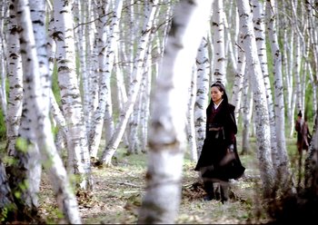 Movie still from “The Assassin” (2015), directed by Hsiao-Hsien Hou – A woman is standing in the middle of a forest; Wide shot, Low angle