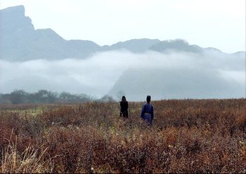 Movie still from “The Assassin” (2015), directed by Hsiao-Hsien Hou – Two people standing in a field with mountains in the background; Extreme Wide shot, Low angle