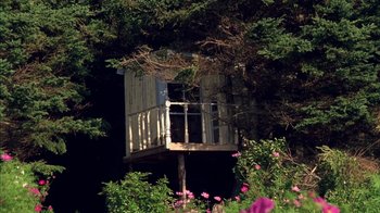 Movie still from “The Ballad of Jack and Rose” (2005), directed by Rebecca Miller – An old tree house in the middle of a forest; Extreme Wide shot, Low angle