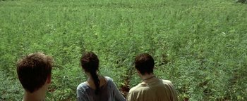 Movie still from “The Beach” (2000), directed by Danny Boyle – A man and a woman standing in front of a field of marijuana; Wide shot, High angle