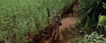 Movie still from “The Beach” (2000), directed by Danny Boyle – A man walking down a dirt path in a field; Wide shot, High angle