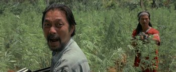 Movie still from “The Beach” (2000), directed by Danny Boyle – A man standing next to a field of marijuana plants; Medium shot, Low angle