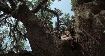 Movie still from “The Beguiled” (1971), directed by Don Siegel – A group of children sitting on top of a tree; Wide shot, Low angle