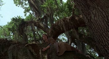 Movie still from “The Beguiled” (1971), directed by Don Siegel – A woman laying on top of a large tree branch; Wide shot, Low angle