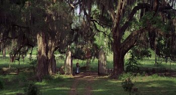 Movie still from “The Beguiled” (1971), directed by Don Siegel – A person sitting on a bench in front of a tree; Extreme Wide shot, High angle
