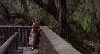 Movie still from “The Beguiled” (1971), directed by Don Siegel – A woman standing on a wooden bridge near a forest; Wide shot, High angle