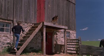 Movie still from “The Believers” (1987), directed by John Schlesinger – A dog sitting on the steps of a barn; Extreme Wide shot, Low angle