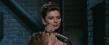 Movie still from “The Best of Everything” (1959), directed by Jean Negulesco – A woman holding a cat in her arms; Close Up shot, Low angle