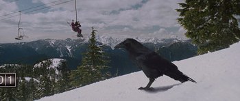 Movie still from “The Big Year” (2011), directed by David Frankel – A black bird standing on top of a snow covered slope; Wide shot, Low angle