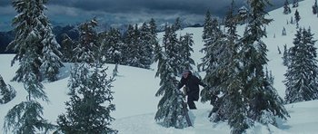 Movie still from “The Big Year” (2011), directed by David Frankel – A person is standing in the middle of a snow covered forest; Extreme Wide shot, High angle