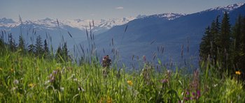 Movie still from “The Big Year” (2011), directed by David Frankel – A person standing in a field with mountains in the background; Extreme Wide shot, High angle