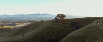 Movie still from “The Biggest Little Farm” (2018), directed by John Chester – A lone tree on a hill with mountains in the background; Extreme Wide shot, Low angle