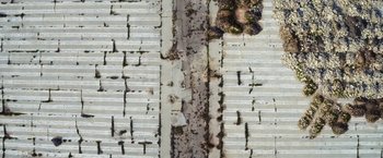 Movie still from “The Biggest Little Farm” (2018), directed by John Chester – An aerial view of a street with a lot of debris on the ground; Extreme Wide shot, Overhead angle
