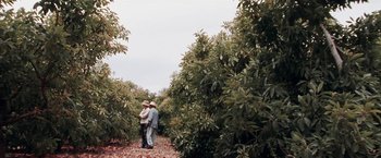 Movie still from “The Biggest Little Farm” (2018), directed by John Chester – Two people standing in an apple tree orchard; Extreme Wide shot, High angle