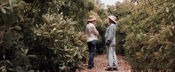 Movie still from “The Biggest Little Farm” (2018), directed by John Chester – Two men standing next to each other in an apple orchard; Wide shot, Over the shoulder angle