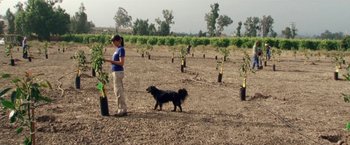 Movie still from “The Biggest Little Farm” (2018), directed by John Chester – A woman and a black dog in a field; Wide shot, High angle