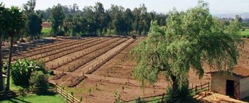 Movie still from “The Biggest Little Farm” (2018), directed by John Chester – An open field with trees and a tractor in the background; Extreme Wide shot, High angle