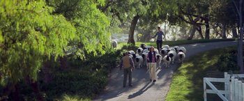 Movie still from “The Biggest Little Farm” (2018), directed by John Chester – A herd of sheep being herded down a road by two men; Wide shot, Low angle