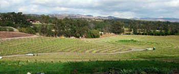 Movie still from “The Biggest Little Farm” (2018), directed by John Chester – An open field with many rows of trees in the background; Extreme Wide shot, High angle