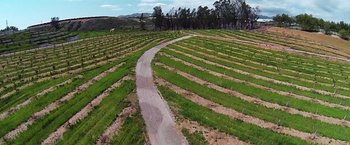 Movie still from “The Biggest Little Farm” (2018), directed by John Chester – An aerial view of a road in the middle of a field; Extreme Wide shot, Overhead angle
