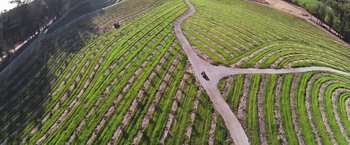 Movie still from “The Biggest Little Farm” (2018), directed by John Chester – An aerial view of a road in the middle of a green field; Extreme Wide shot, Overhead angle