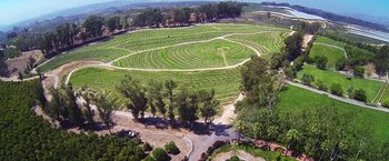 Movie still from “The Biggest Little Farm” (2018), directed by John Chester – An aerial view of an open field with trees and bushes; Extreme Wide shot, High angle