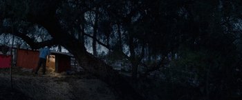 Movie still from “The Biggest Little Farm” (2018), directed by John Chester – A dark forest with a fence in the foreground; Extreme Wide shot, Low angle