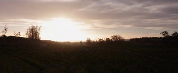 Movie still from “The Biggest Little Farm” (2018), directed by John Chester – The sun is setting over a field with trees in the background; Extreme Wide shot, Low angle