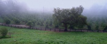Movie still from “The Biggest Little Farm” (2018), directed by John Chester – A tree in the middle of a grassy field; Extreme Wide shot, High angle