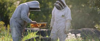 Movie still from “The Biggest Little Farm” (2018), directed by John Chester – Two beekeepers are working in a field; Medium shot, Low angle