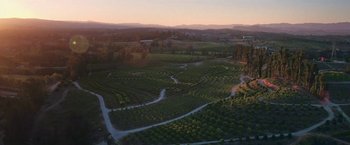 Movie still from “The Biggest Little Farm” (2018), directed by John Chester – An aerial view of an orchard at sunset; Extreme Wide shot, High angle