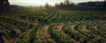 Movie still from “The Biggest Little Farm” (2018), directed by John Chester – An aerial view of an open field with trees in the background; Extreme Wide shot, High angle