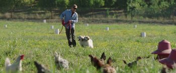 Movie still from “The Biggest Little Farm” (2018), directed by John Chester – A man in a field with a dog and chickens; Wide shot, High angle