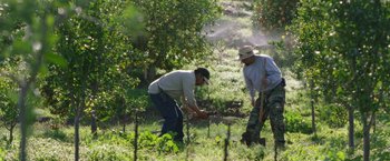 Movie still from “The Biggest Little Farm” (2018), directed by John Chester – Two men working in an apple tree orchard; Wide shot, High angle
