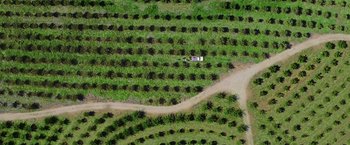 Movie still from “The Biggest Little Farm” (2018), directed by John Chester – An aerial view of an open field with a person in the grass; Extreme Wide shot, Overhead angle