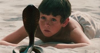 Movie still from “The Black Stallion” (1979), directed by Carroll Ballard – A young boy looking at a snake on the ground; Close Up shot, High angle